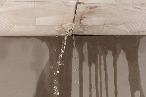 Professional Structural Drying technician working in Santo, TX